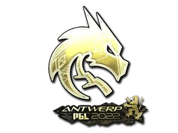 Antwerp 2022Team Spirit (Gold)