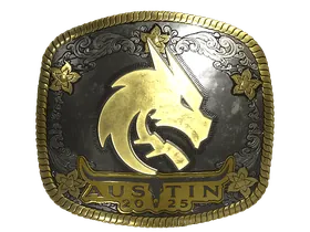 Austin 2025Team Spirit (Gold)
