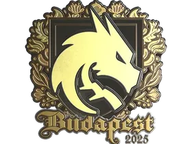 Budapest 2025Team Spirit (Gold)
