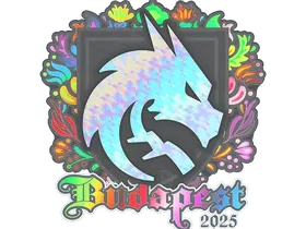 Budapest 2025Team Spirit (Holo)