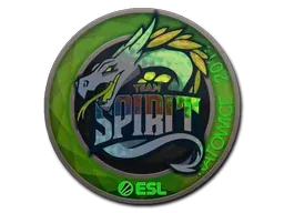 Katowice 2019Team Spirit (Holo)