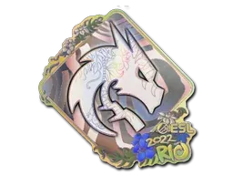 Rio 2022Team Spirit (Holo)