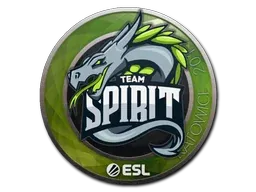 Katowice 2019Team Spirit