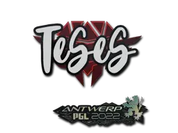 Antwerp 2022TeSeS
