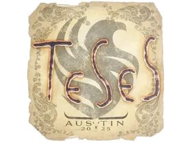 Austin 2025TeSeS