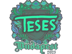 Budapest 2025TeSeS