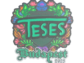 Budapest 2025TeSeS (Embroidered)