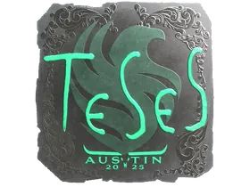 Austin 2025TeSeS (Foil)