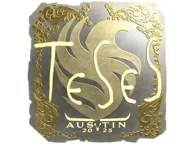 Austin 2025TeSeS (Gold)