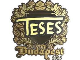 Budapest 2025TeSeS (Gold)