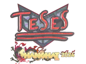 Shanghai 2024TeSeS (Holo)