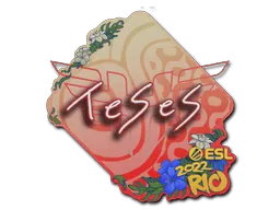 Rio 2022TeSeS