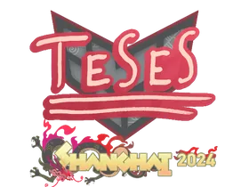 Shanghai 2024TeSeS