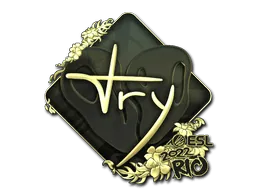 Rio 2022TRY (Gold)
