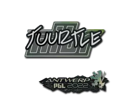 Antwerp 2022Tuurtle