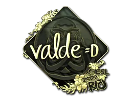 Rio 2022v4lde (Gold)