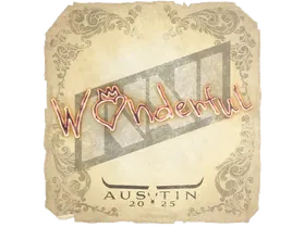 Austin 2025w0nderful