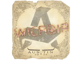 Austin 2025Wicadia