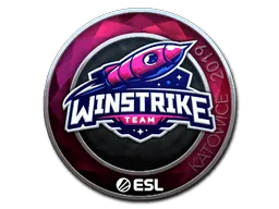 Katowice 2019Winstrike Team (Foil)