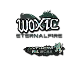 Antwerp 2022woxic (Glitter)