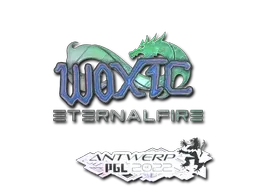 Antwerp 2022woxic (Holo)