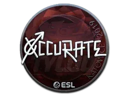 Katowice 2019xccurate (Foil)