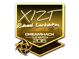 Cluj-Napoca 2015Xizt (Gold)