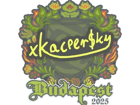 Budapest 2025xKacpersky