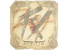 Austin 2025zevy