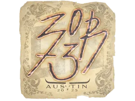 Austin 2025zorte