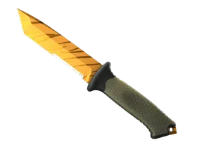 Tiger Tooth