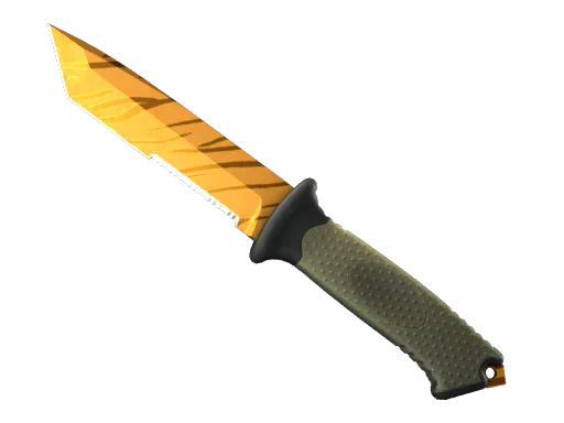 Tiger Tooth